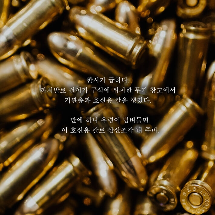 카드뉴스2