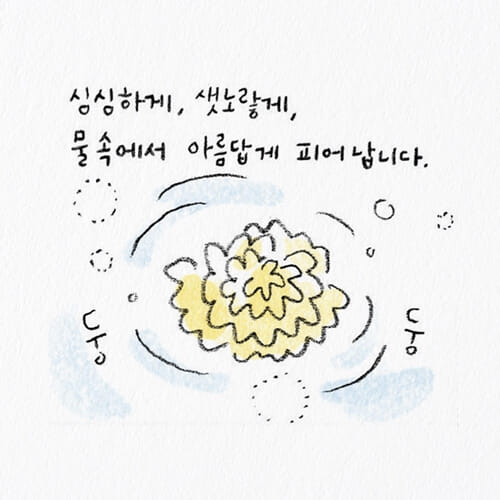 카드뉴스2