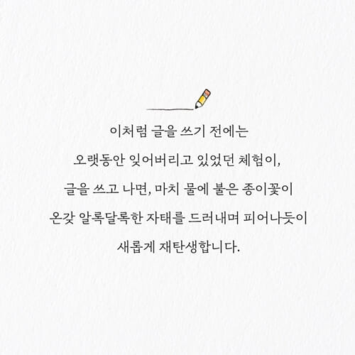 카드뉴스4