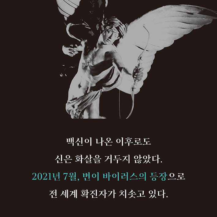 카드뉴스3