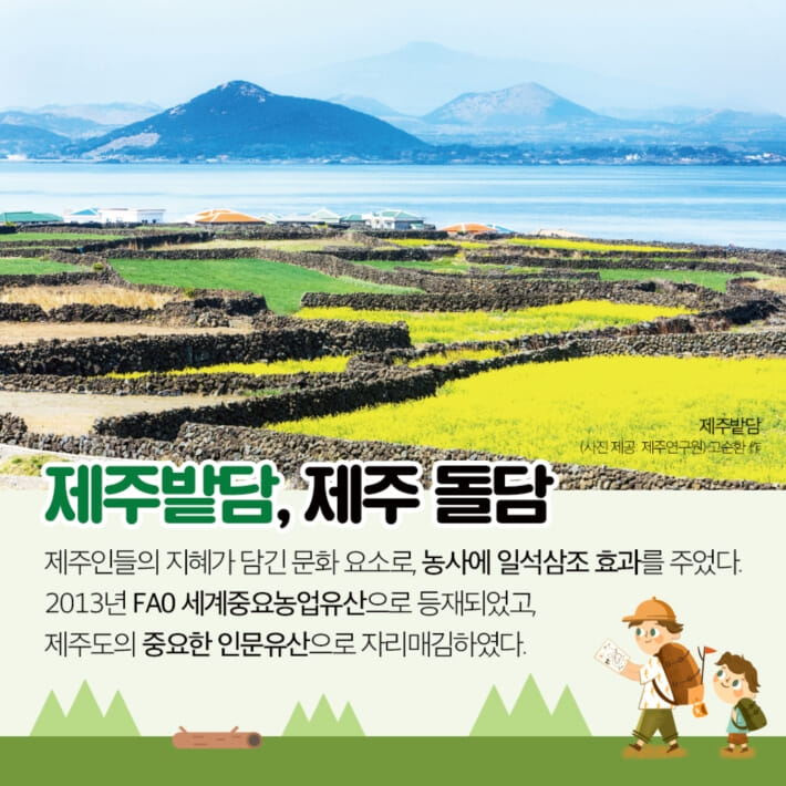 카드뉴스3