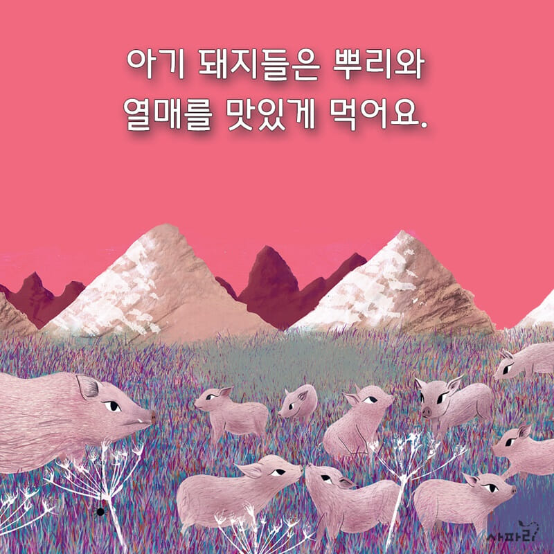 카드뉴스4