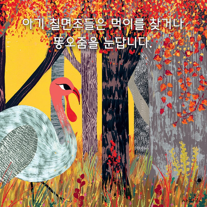 카드뉴스5