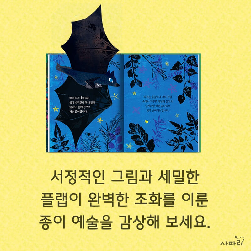 카드뉴스6