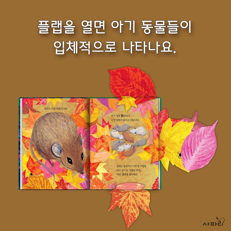 카드뉴스7