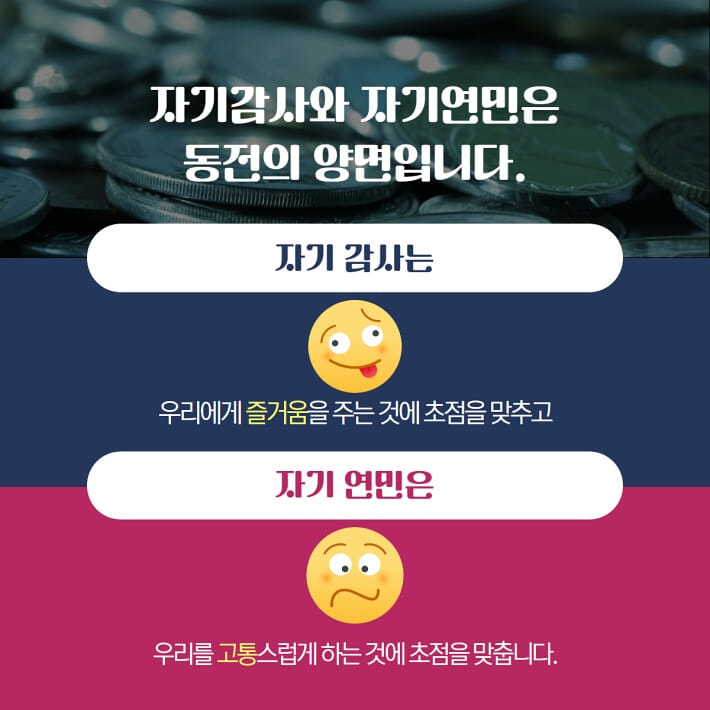 카드뉴스3