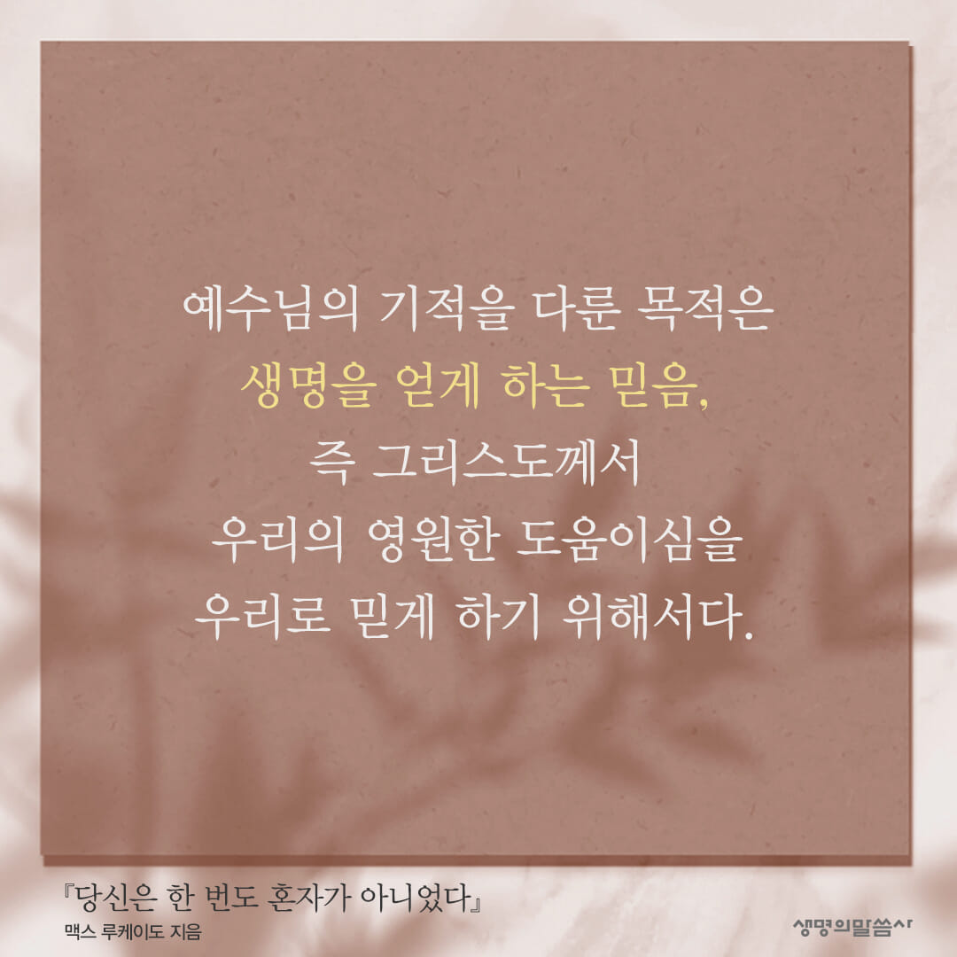 카드뉴스5