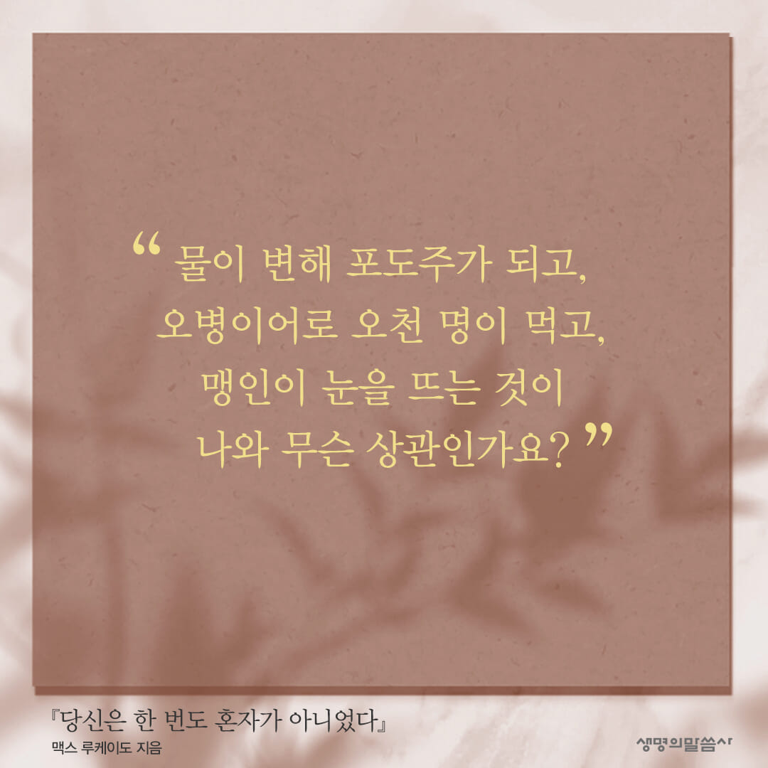카드뉴스6