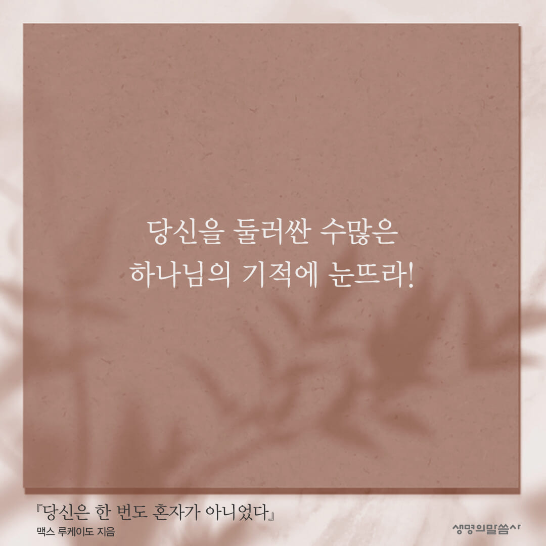 카드뉴스8