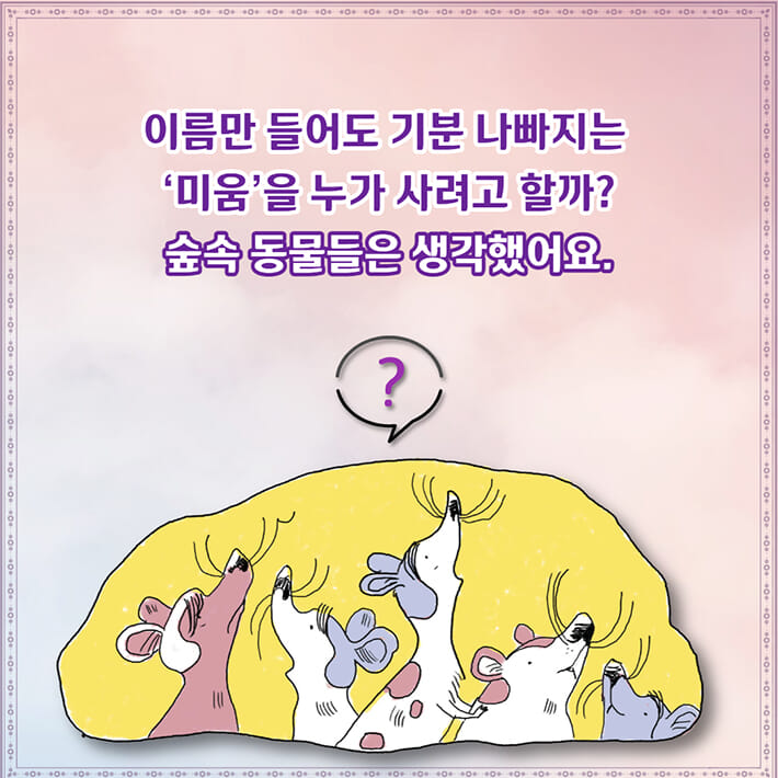 카드뉴스2
