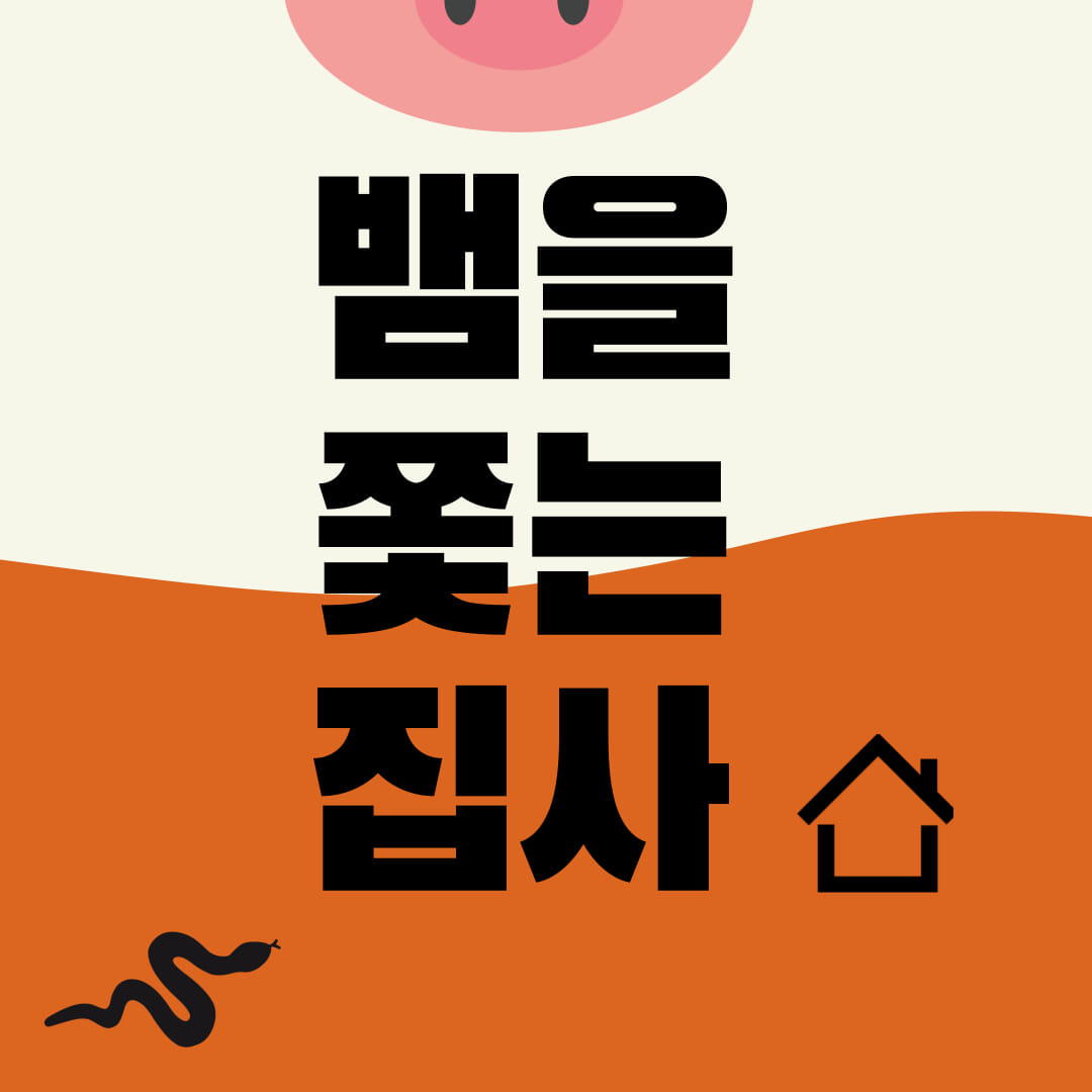 카드뉴스1