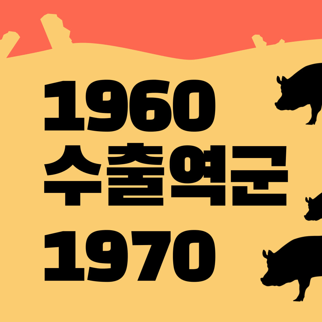 카드뉴스4