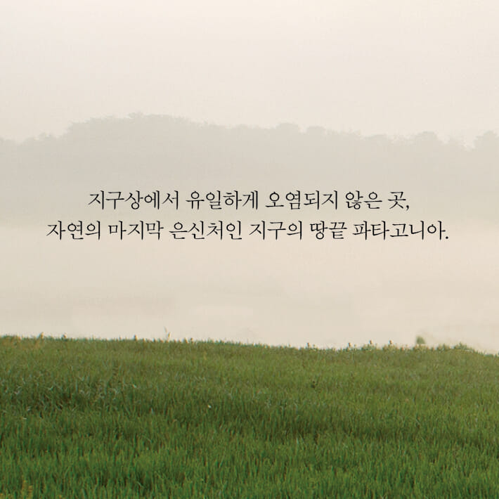 카드뉴스5