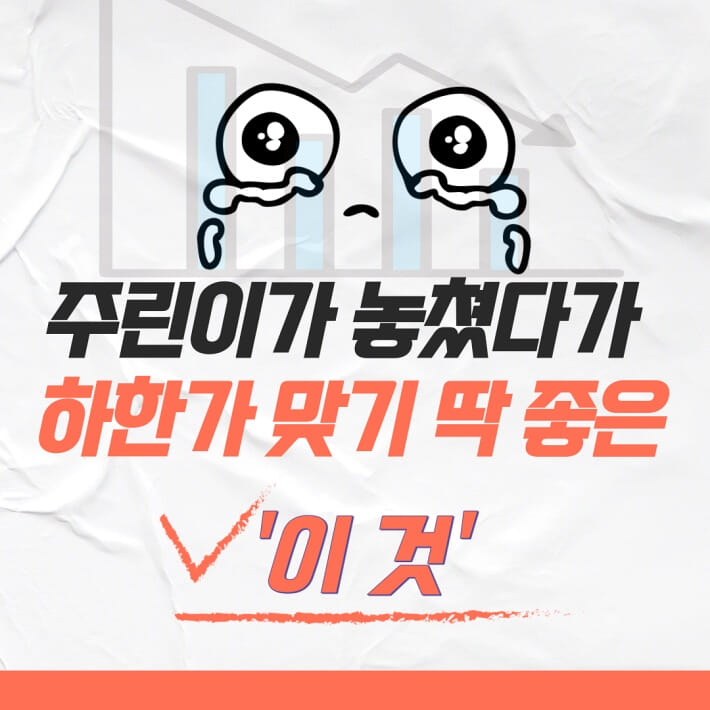 카드뉴스0