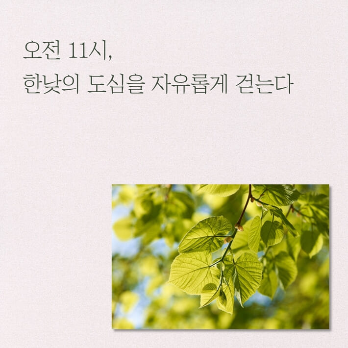 카드뉴스1