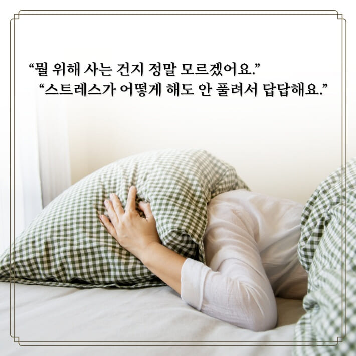 카드뉴스1