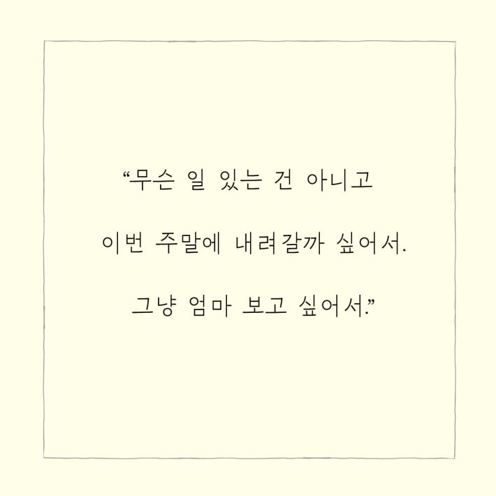 카드뉴스2
