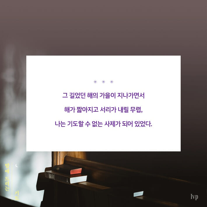 카드뉴스2