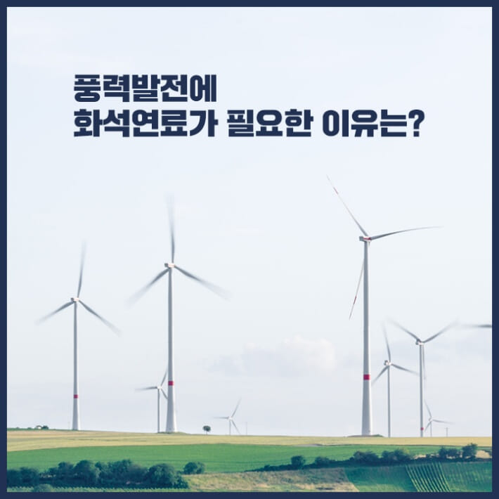 카드뉴스4