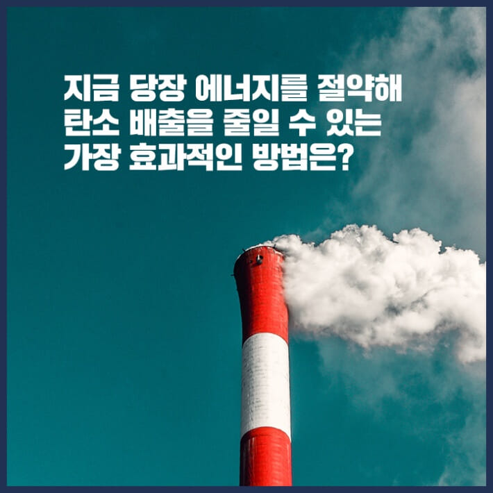 카드뉴스5