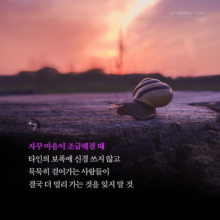 카드뉴스7