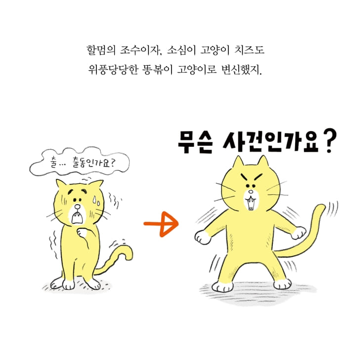 카드뉴스12