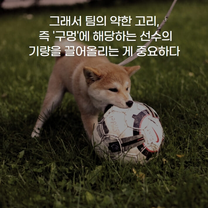 카드뉴스4
