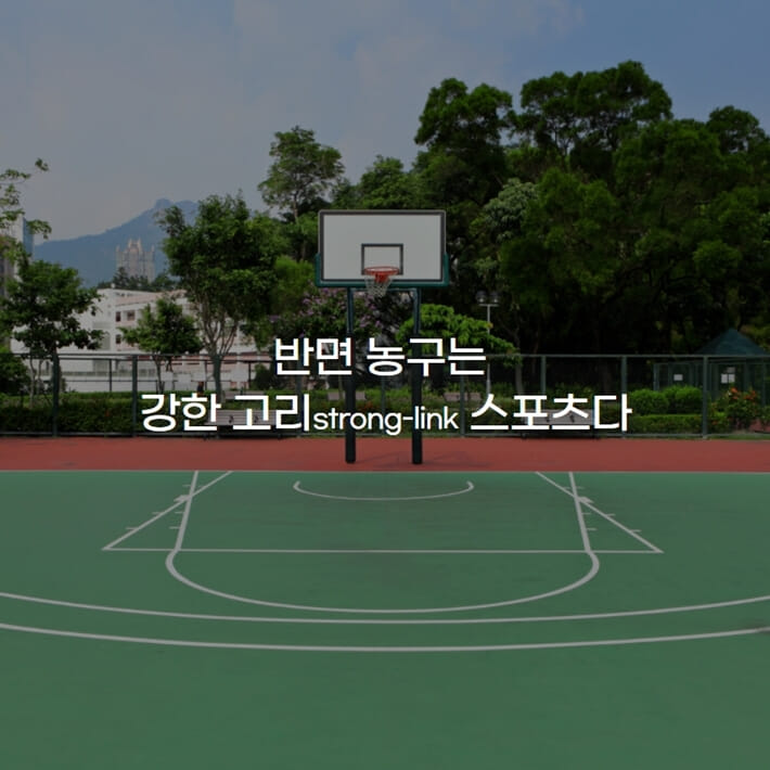 카드뉴스5
