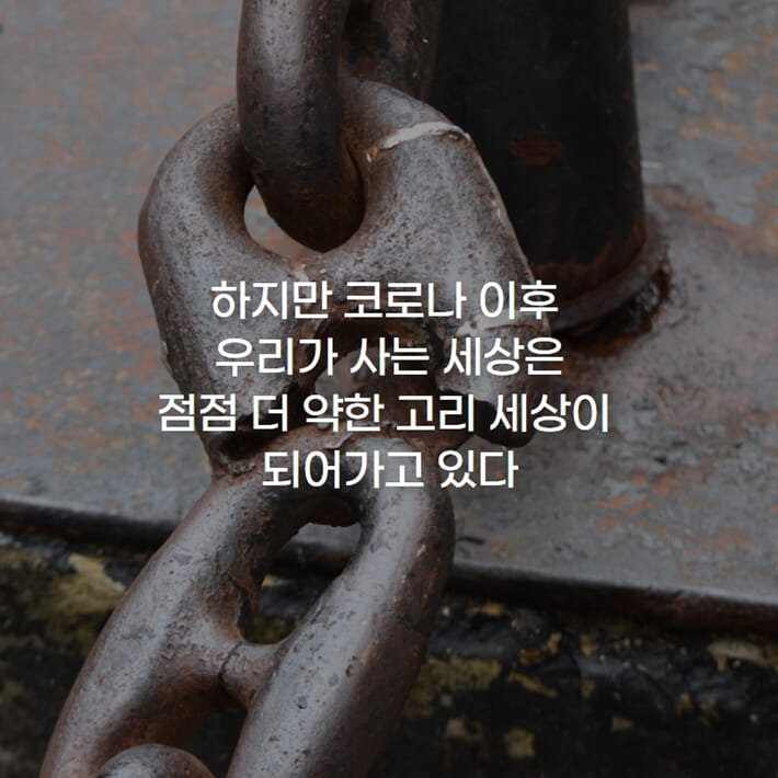 카드뉴스9