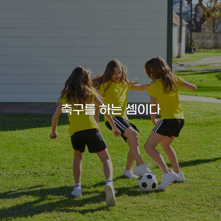 카드뉴스12