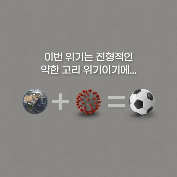 카드뉴스14
