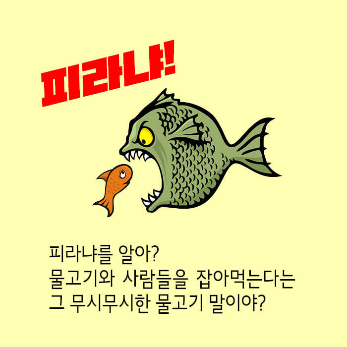 카드뉴스0