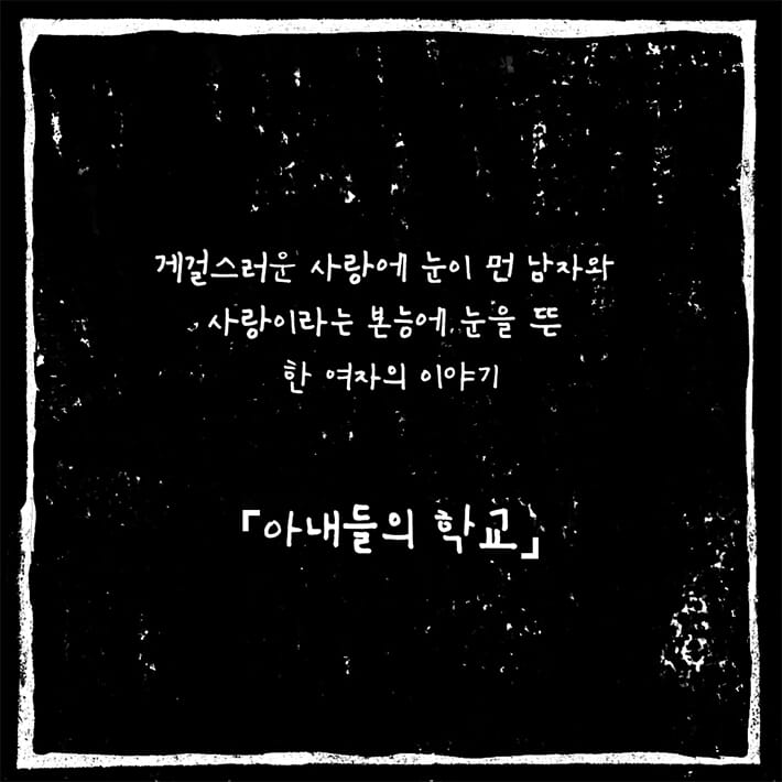 카드뉴스12