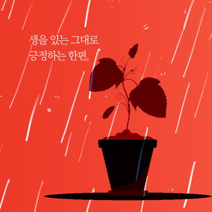 카드뉴스4