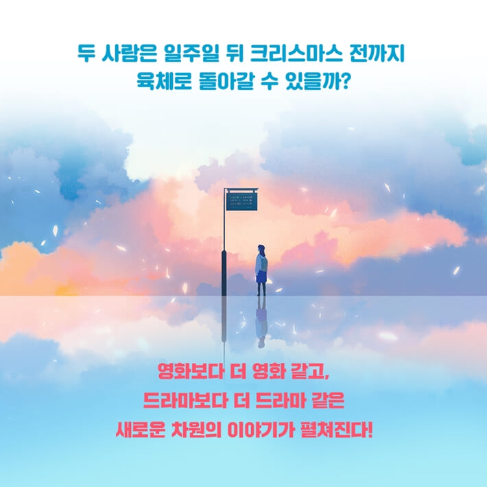 카드뉴스5