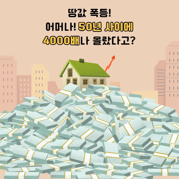 카드뉴스1
