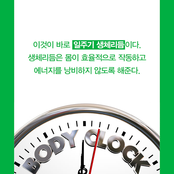 카드뉴스2
