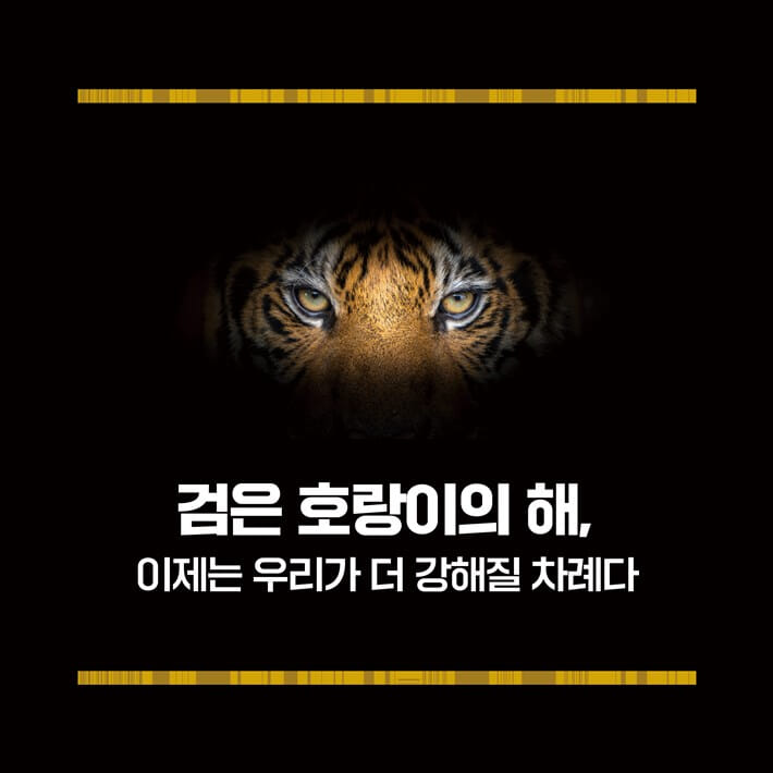 카드뉴스0