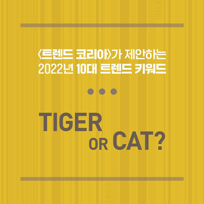 카드뉴스2