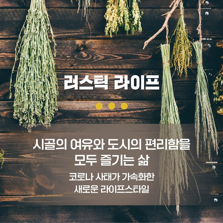 카드뉴스5