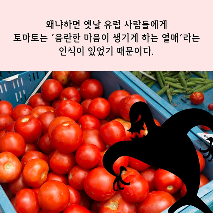 카드뉴스2