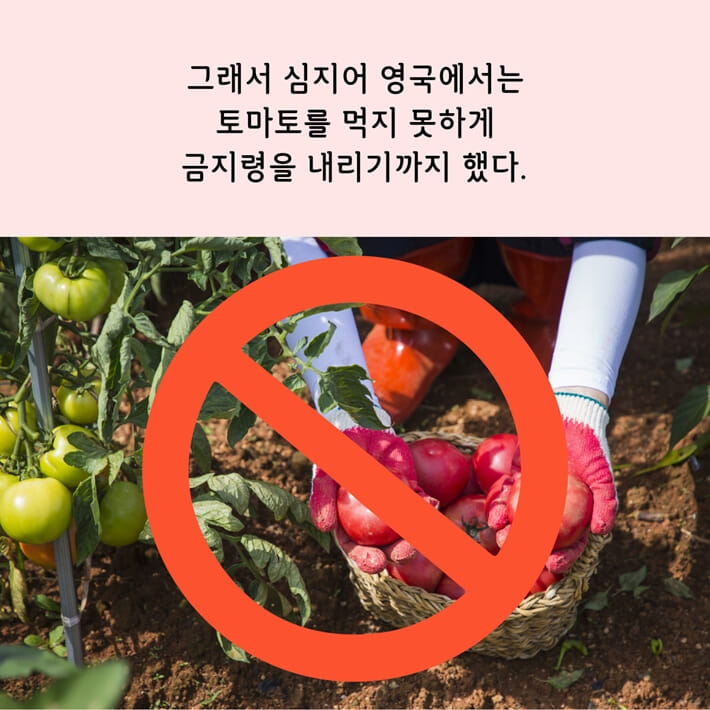 카드뉴스3