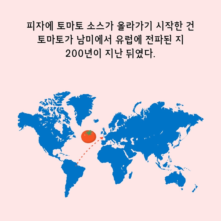 카드뉴스4
