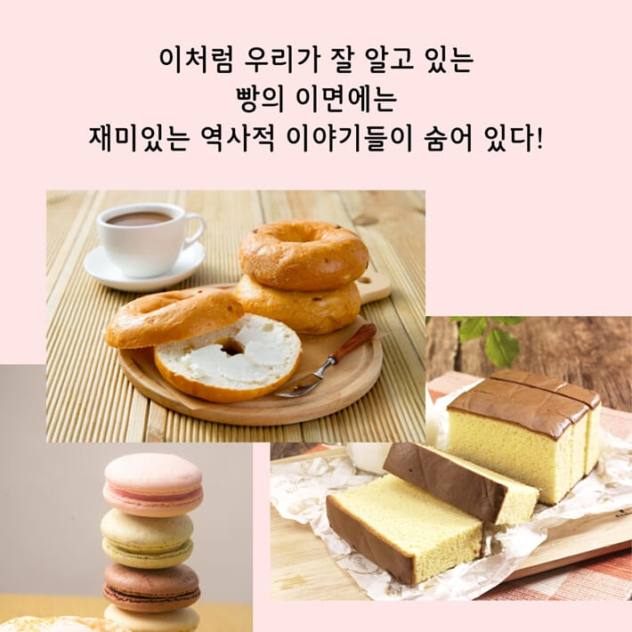 카드뉴스12