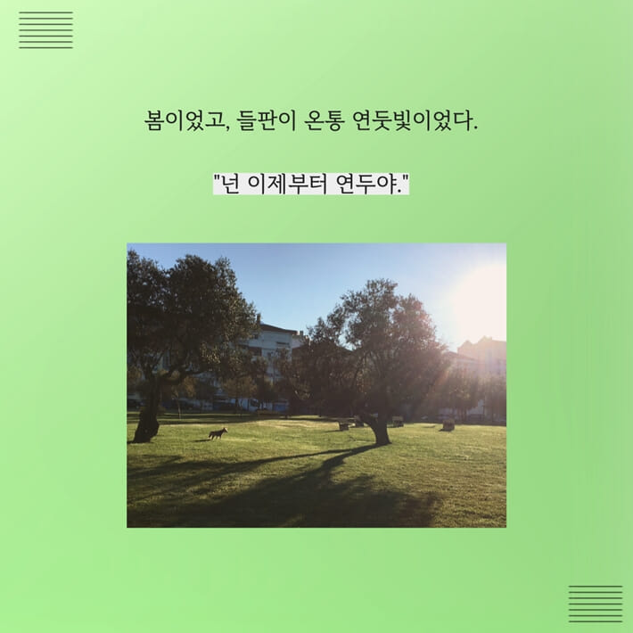 카드뉴스3
