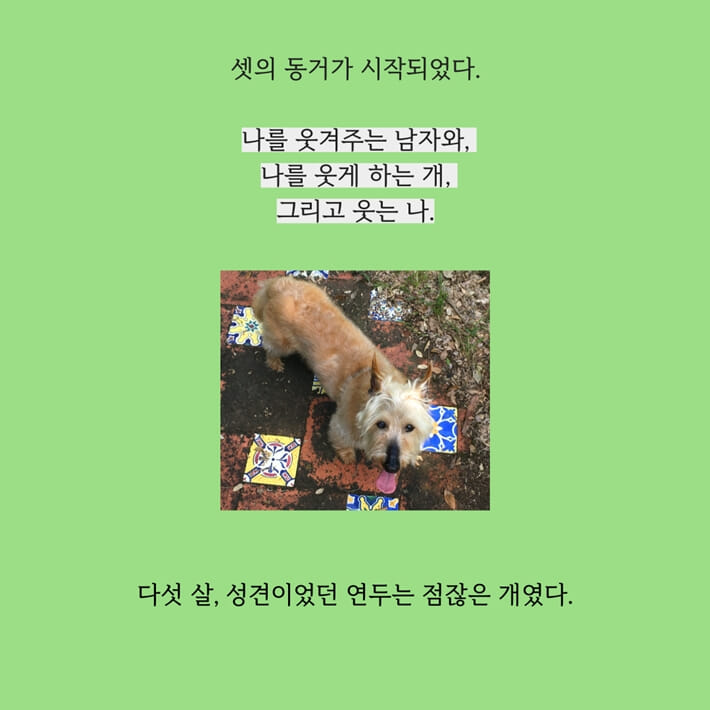 카드뉴스4