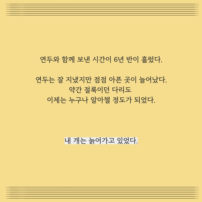 카드뉴스6