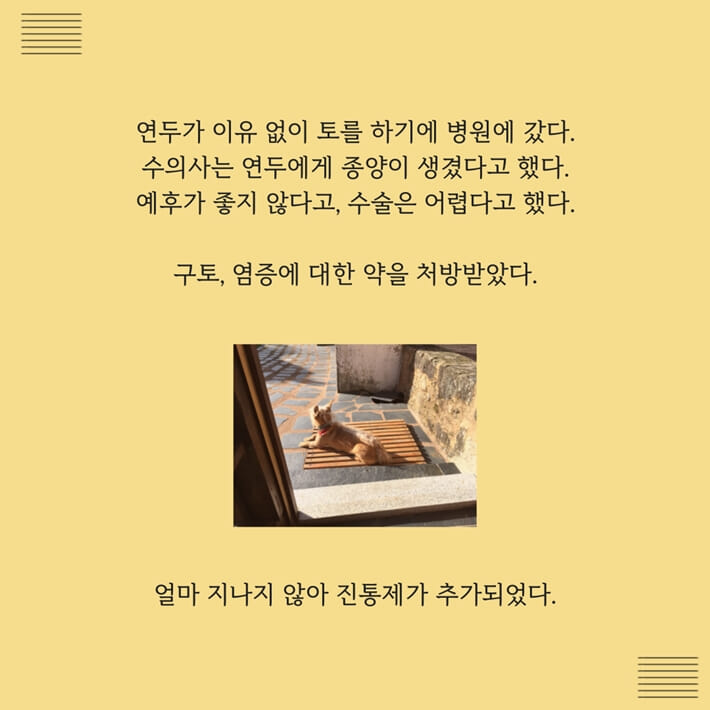 카드뉴스7