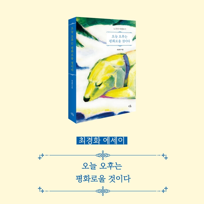 카드뉴스11