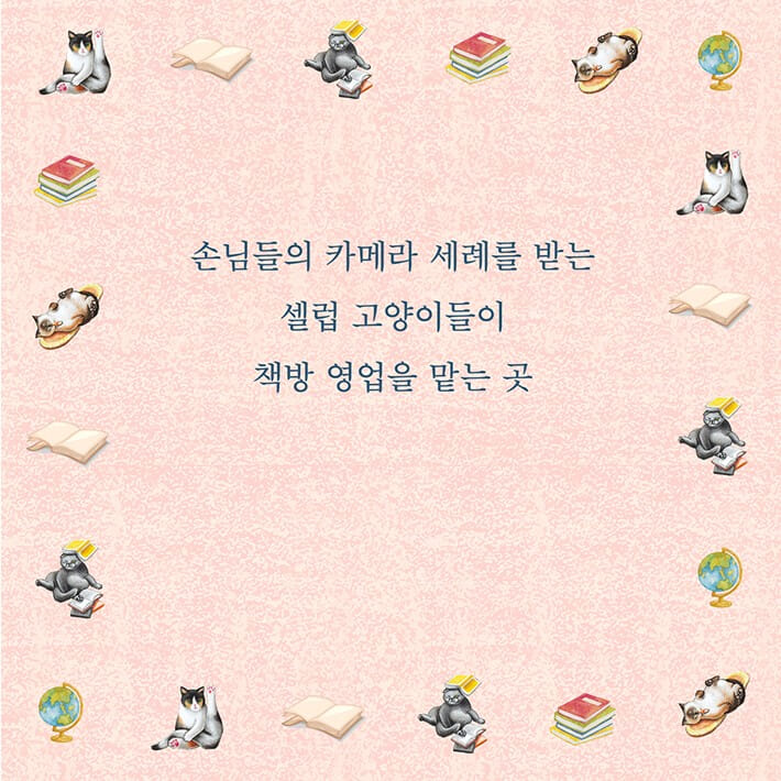 카드뉴스3